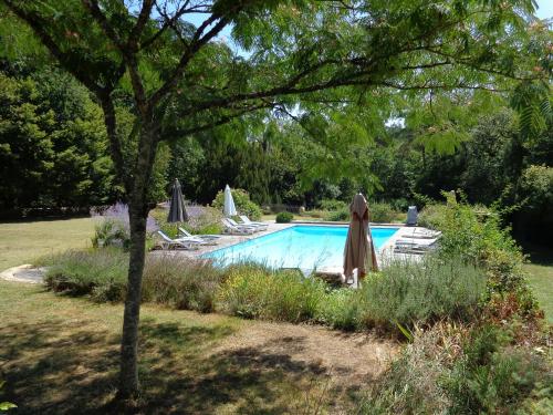 - une piscine dans une cour avec des chaises et un arbre dans l'établissement DOMAINE DE FONCENE, à Foncène