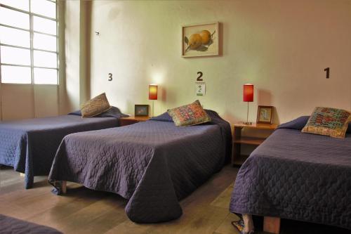 Tempat tidur dalam kamar di Hostel Lit Guadalajara