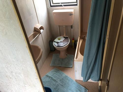 a small bathroom with a toilet and a shower at i15 The Chase in Ingoldmells