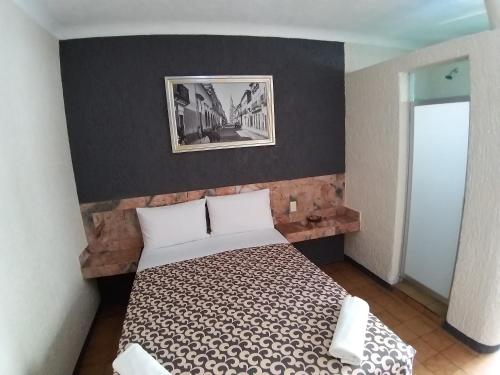 a bedroom with a bed with a picture on the wall at Hotel Aguila in Guadalajara