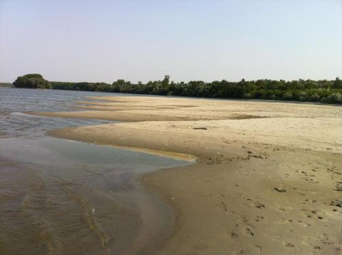 a view of the shore of a body of water at kuća za odmor Vesna četiri zvjezdice in Opatovac