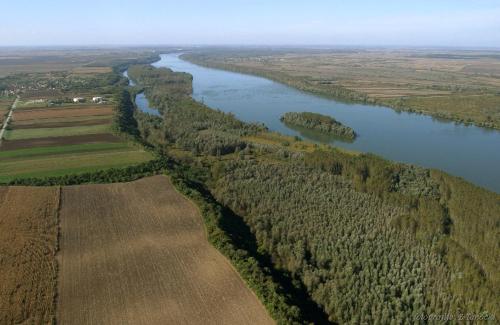 an aerial view of a river with trees next to it at kuća za odmor Vesna četiri zvjezdice in Opatovac