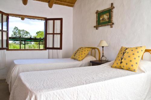 two beds in a room with a window at Hosteria de Campo Valdemoro in Gualeguaychú