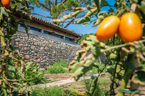 a building with a stone wall and a tree with tomatoes at Agriturismo La Pertica in Costermano sul Garda