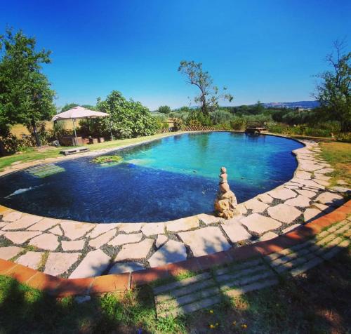 a swimming pool with a dog sitting in the middle at Agriturismo Il Poderino in Bibbona