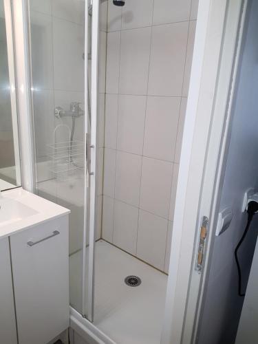une salle de bain avec douche et lavabo dans l'établissement Charmant studio au coeur de St Leu hyper centre, à Amiens