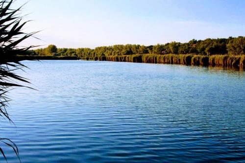 a large river with trees in the background at Kukucs Etyek Dézsafürdő Vendégház in Etyek