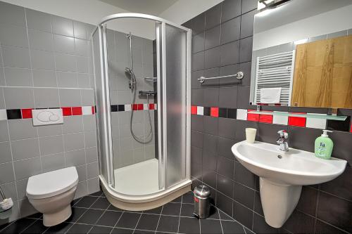 een badkamer met een douche, een toilet en een wastafel bij Apartmány Barto21 in Bartošovice v Orlických Horách