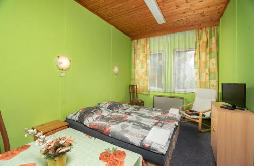 1 dormitorio con paredes verdes, 1 cama y TV en Ubytovna Z-SPORT en Nové Město nad Metují
