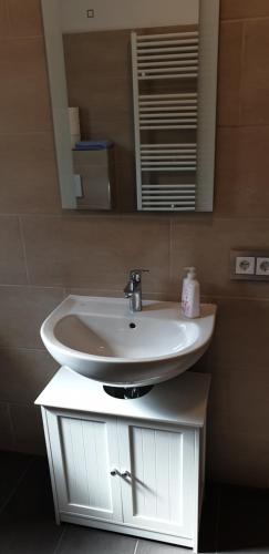 a bathroom with a white sink and a mirror at Pension Lischenhof in Ehrwald