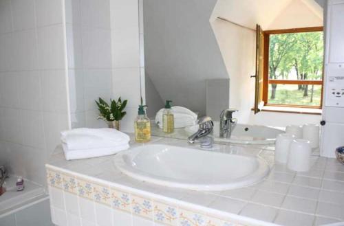 een witte badkamer met een wastafel en een spiegel bij La rabouillere in Contres