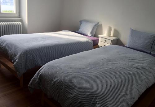two beds sitting next to each other in a bedroom at Ca' Dogana Vegia in Pugerna