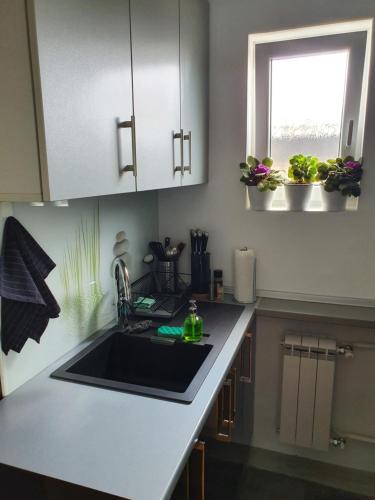 cocina con fregadero y ventana en Apartment New Belgrade Home, en Belgrado