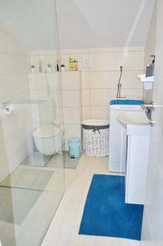 a bathroom with a shower and a toilet and a sink at Le Petit in Čilipi