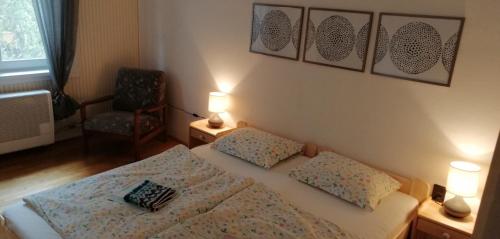 een slaapkamer met een bed met 2 kussens en een stoel bij Fecske Home Zamárdi in Zamárdi