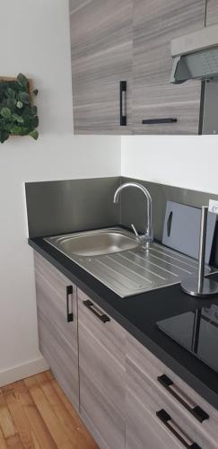 une cuisine avec un évier et un plan de travail dans l'établissement Apparts centre ville Lorient-calme&cosy, à Lorient