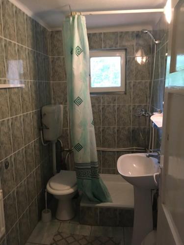 a bathroom with a toilet and a sink and a shower curtain at Manyi Villa in Băile Tuşnad