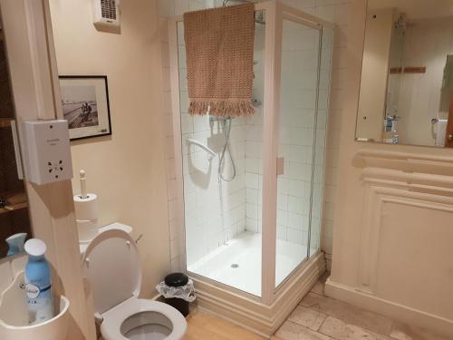 a bathroom with a shower and a toilet and a tub at KEYFIELD TERRACE SERVICED APARTMENTS in St. Albans