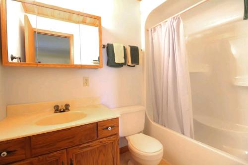 y baño con lavabo, aseo y ducha. en Sunny Point Resort Ltd. en Otter Lake