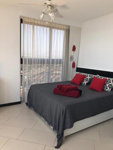 View apartments in Gemelos XV
