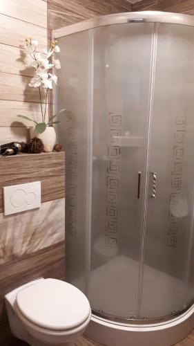 a bathroom with a shower with a toilet in it at Ubytovanie na súkromí in Veľká Lomnica