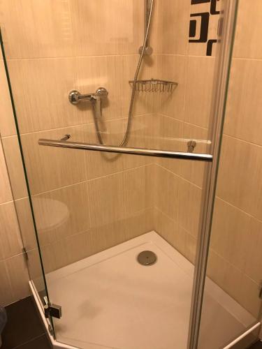 a shower with a glass door in a bathroom at Villa Medova in Kosiv