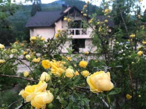 a bunch of yellow roses in front of a house at Villa Medova in Kosiv