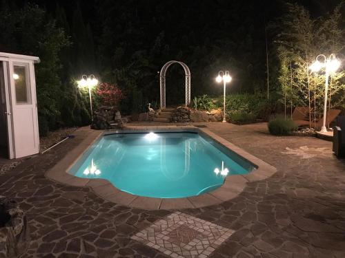 ein Schwimmbad in einem Garten in der Nacht in der Unterkunft Villa Salza in Sankt Martin am Grimming