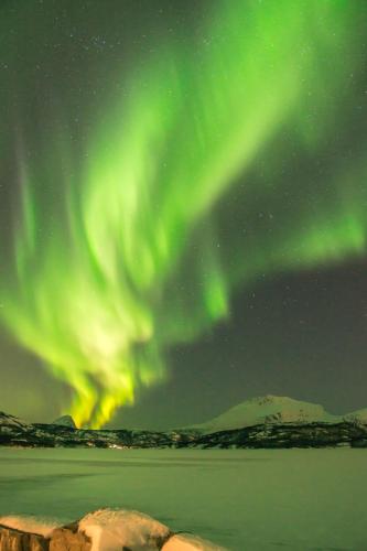 an aurora in the sky over a body of water at Garsnes Brygge in Sjøvegan