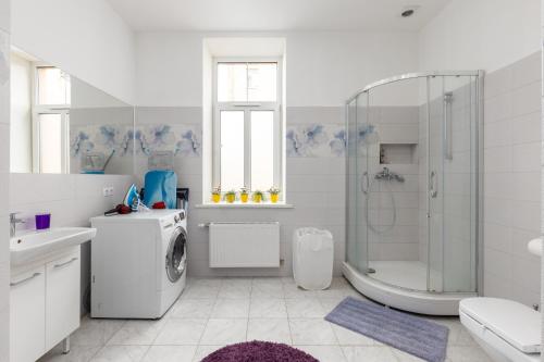 Koupelna v ubytování Dagda Central apartment