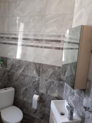 a bathroom with a toilet and a sink and a mirror at Gemütliche Zimmer in Kaisersesch