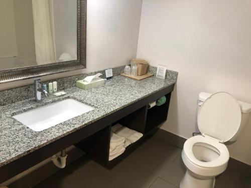 Gallery image of Quality Inn Rochester in Rochester
