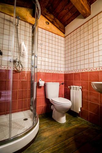 a bathroom with a toilet and a shower and a sink at La Mora Cantana in Castrojeriz