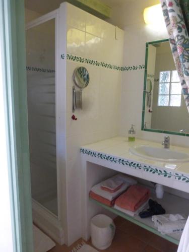 a bathroom with a shower and a sink and a mirror at La Genestière in Clermont-lʼHérault