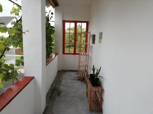 a narrow hallway with a window and a plant at Nagyhaláp in Cserháthaláp