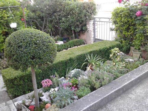 ogród z różnymi rodzajami roślin w obiekcie ROOMS LUCE 2 & Supetar w mieście Supetar