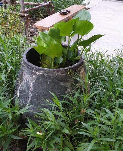 a plant in a pot with a bird table on top at The Lantern Suites in Ban Song Hong
