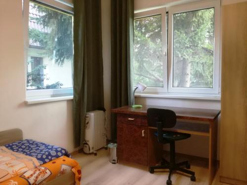 1 dormitorio con escritorio, 1 cama y ventanas en Стаи за гости "Дом Градина Вита" / Guest Rooms “House Vita Garden”, en Sofía