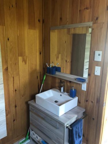 a bathroom with a white sink and a mirror at Chalet Milan in Milan