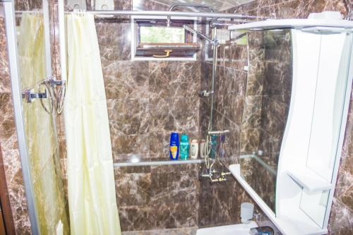 Kopalnica v nastanitvi Apartament Sofia