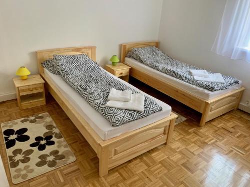 2 łóżka pojedyncze w pokoju z dywanem w obiekcie Anita Apartman w Hajduszoboszlo