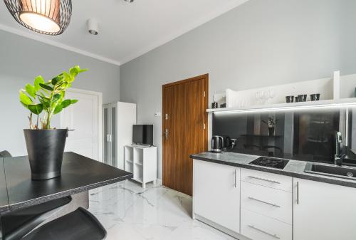a kitchen with white cabinets and a potted plant at Panorama Przemyśl in Przemyśl
