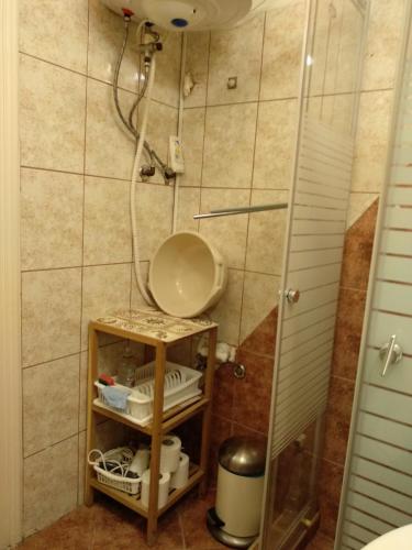 a bathroom with a shower with a toilet in it at Gyöngyi apartman in Budapest