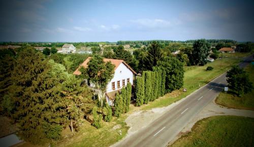 a house on a hill next to a road at Locomotiv Vendégház in Hercegszántó