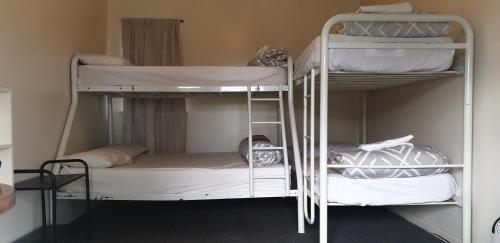 a couple of bunk beds in a room at Camellia Court Family Motel in Taupo