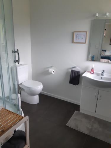 uma casa de banho branca com um WC e um lavatório em The End Lounge B&B em Otorohanga