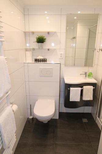 a white bathroom with a toilet and a sink at Seaside Appartement 341 Vier Jahreszeiten in Hahnenklee-Bockswiese