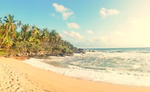 Sunshine villa villa – Photos 5