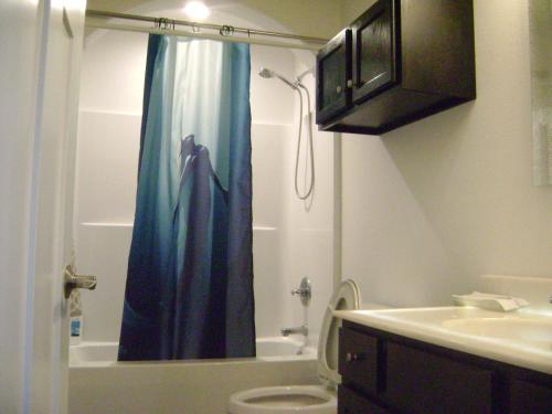 a bathroom with a blue shower curtain and a toilet at Brand new duplex in Cedar Rapids
