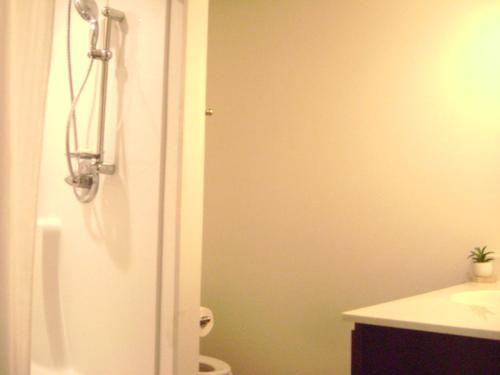 a bathroom with a shower and a toilet and a sink at Brand new duplex in Cedar Rapids